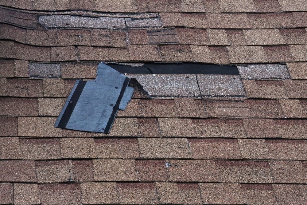 How to Assess the Health of Your Shingle Roof: Warning Signs and Red Flags