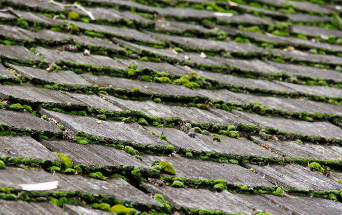 Replacing Your Roof: Signs of Wear and When to Act