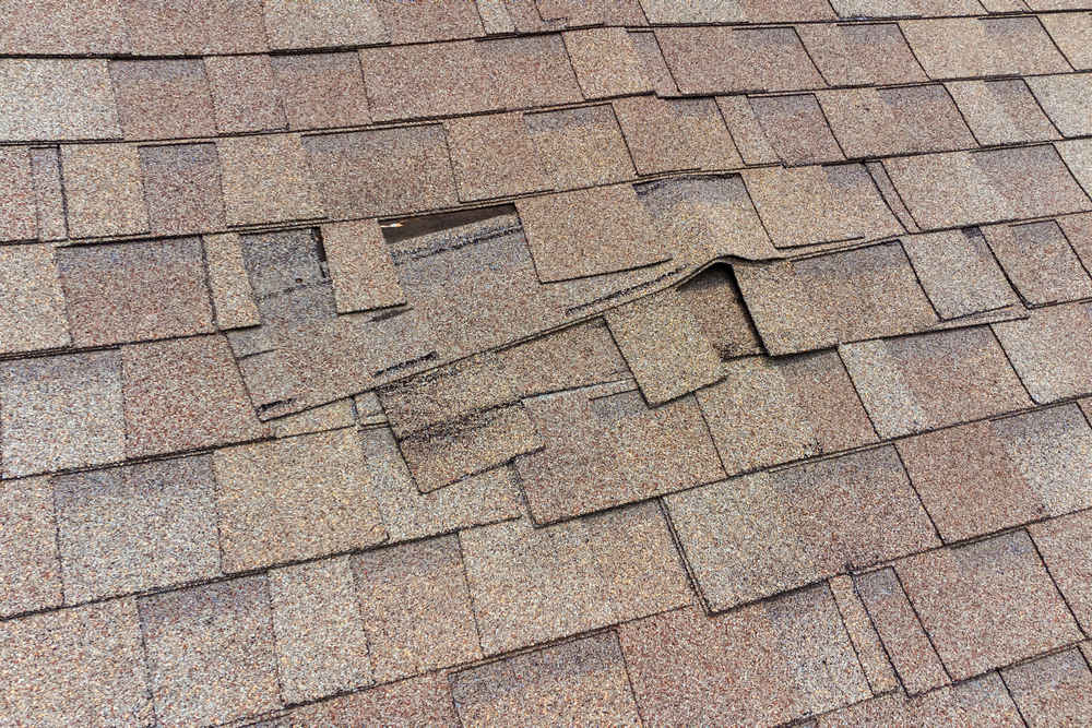 When Is It Time to Replace Your Roof? Top Indicators to Look For